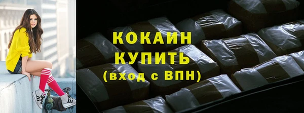 ECSTASY Горняк