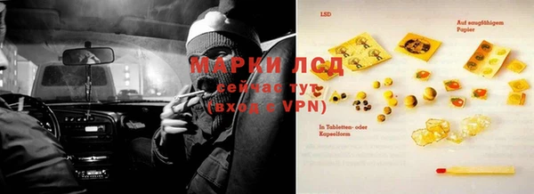 крисы Нея
