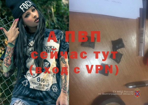 молекула духа Нефтегорск