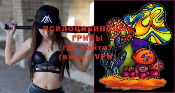 ГАЛЛЮЦИНОГЕННЫЕ ГРИБЫ Навашино