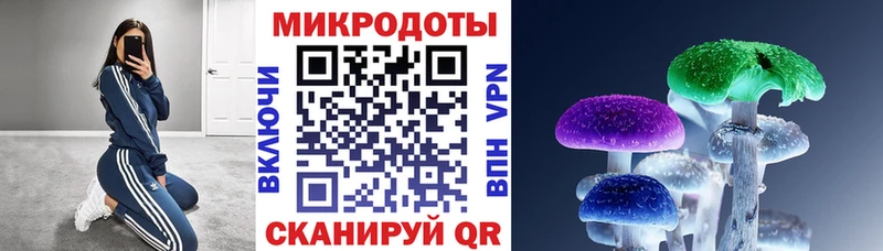 Псилоцибиновые грибы GOLDEN TEACHER Мураши